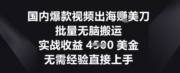 国内爆款视频出海挣美刀，批量无脑搬运，实战收益4.5k，无需经验直接上手 - 壹启创课-壹启创课