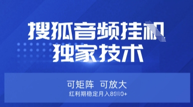 【搜狐音频挂G】独家技术，可矩阵可放大，红利期稳定月入8k【揭秘】 - 壹启创课-壹启创课