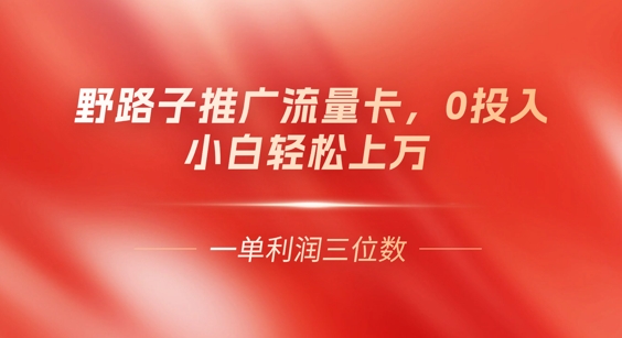 0门槛推广流量卡，一单收益上百，0投入，小白月入过W - 壹启创课-壹启创课