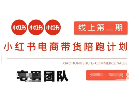 小红书电商带货课2期，月利润20个的小红书电商的有货源，无货源，虚拟产品，付费投流等整套玩法 - 壹启创课-壹启创课